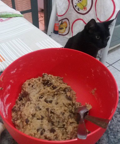 Nazwa: Ciastka z topinamburem